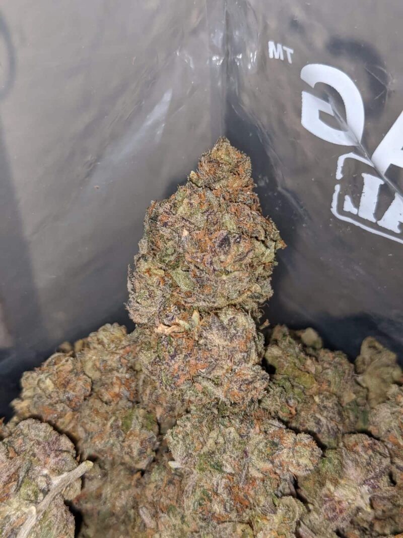 Purple Jetfuel - Image 6