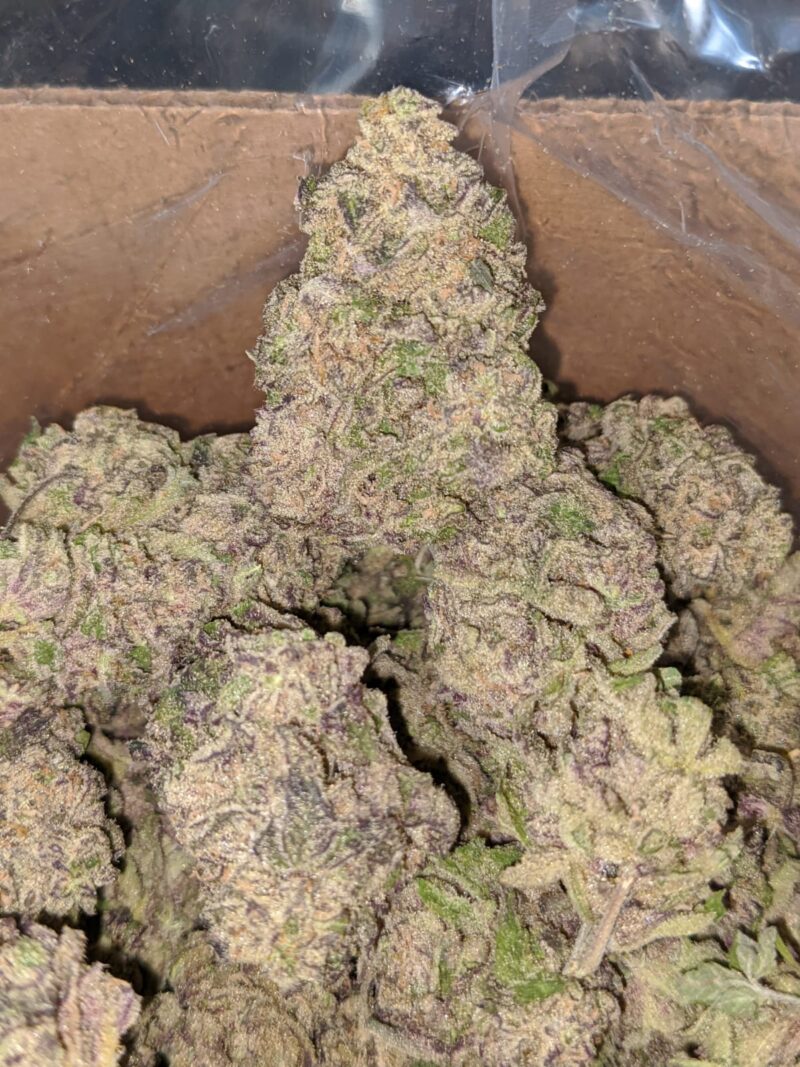 Purple Lemon Cookies - Image 7