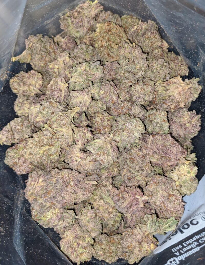 Purple Mamba - Image 5