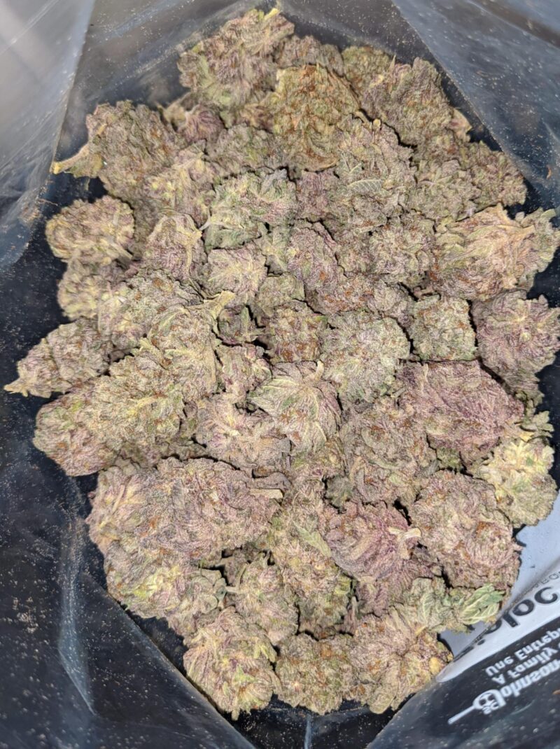 Purple Mamba - Image 6