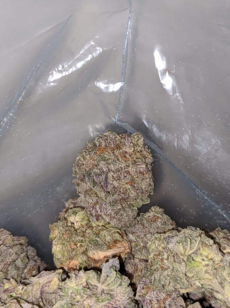 Purple Mamba - Image 7