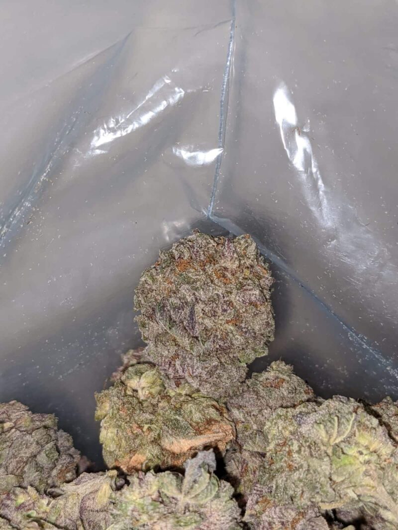 Purple Mamba - Image 4