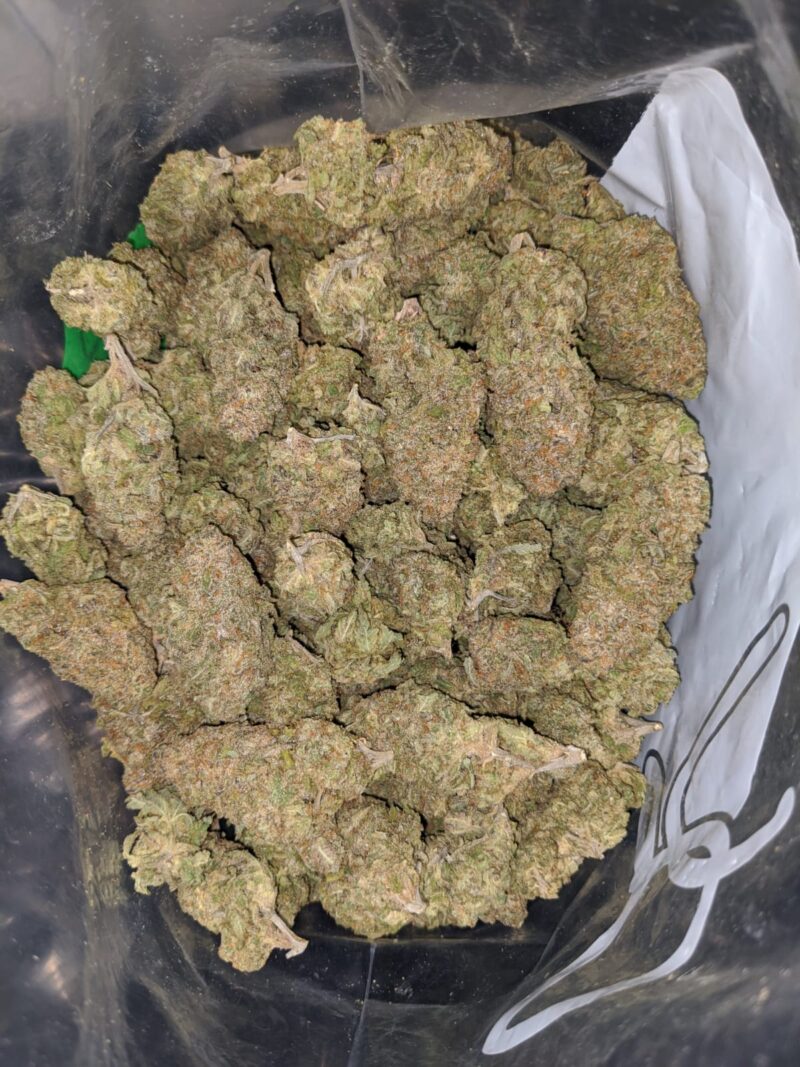 Purple Rhino - Image 5