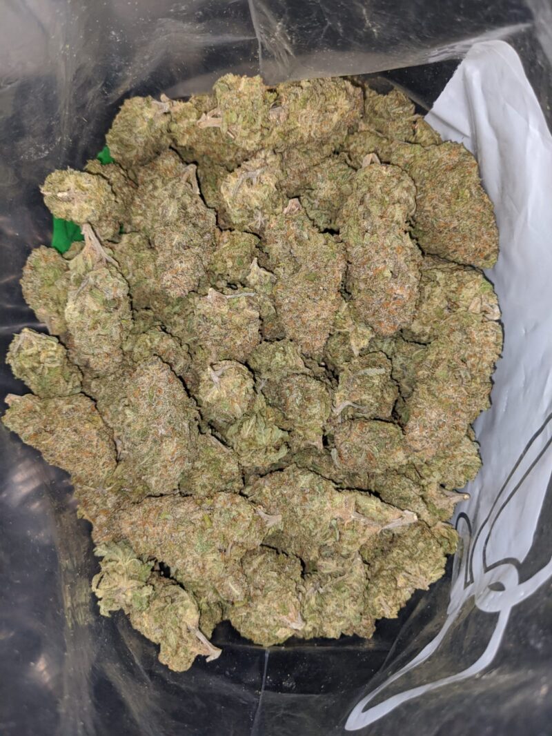 Purple Rhino - Image 4