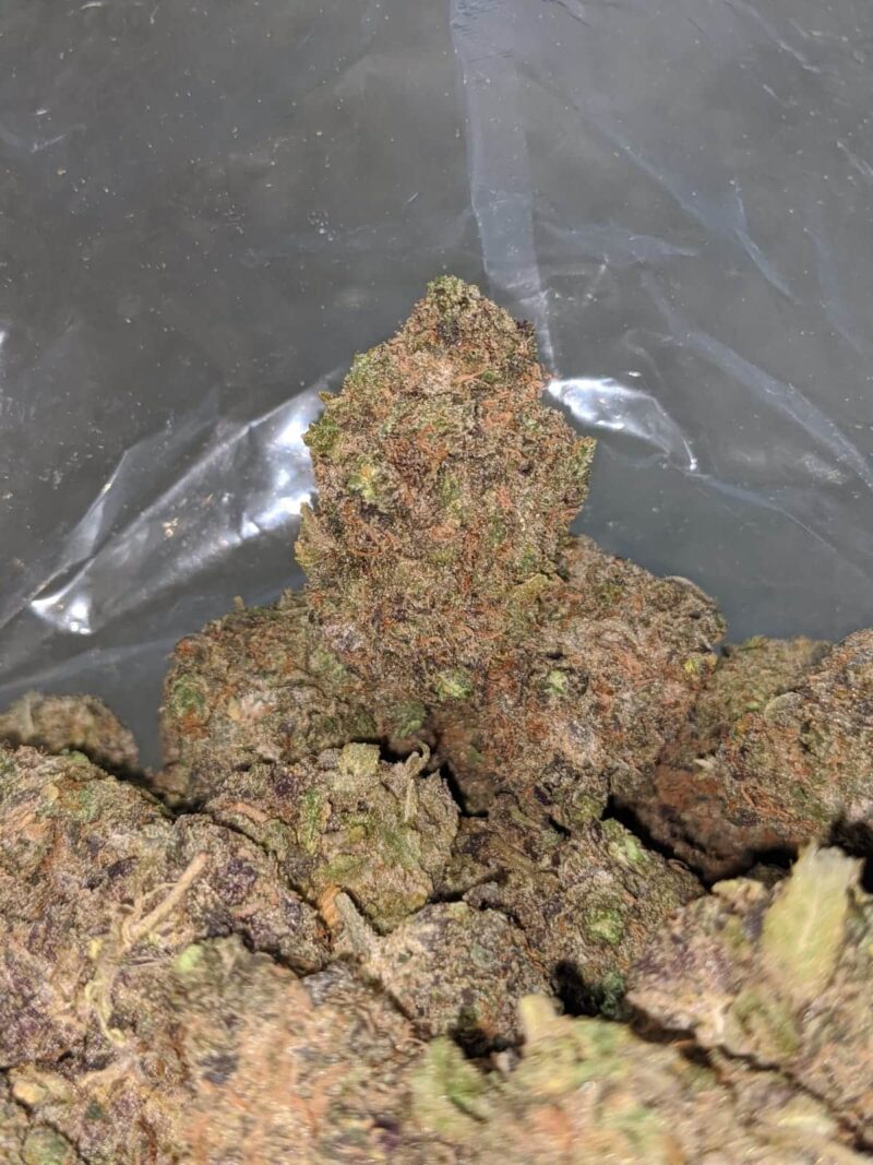 Purple Urkle - Image 4