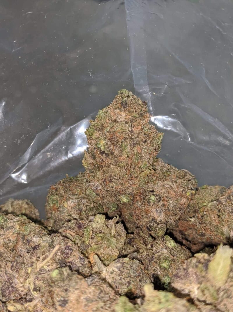 Purple Urkle - Image 7