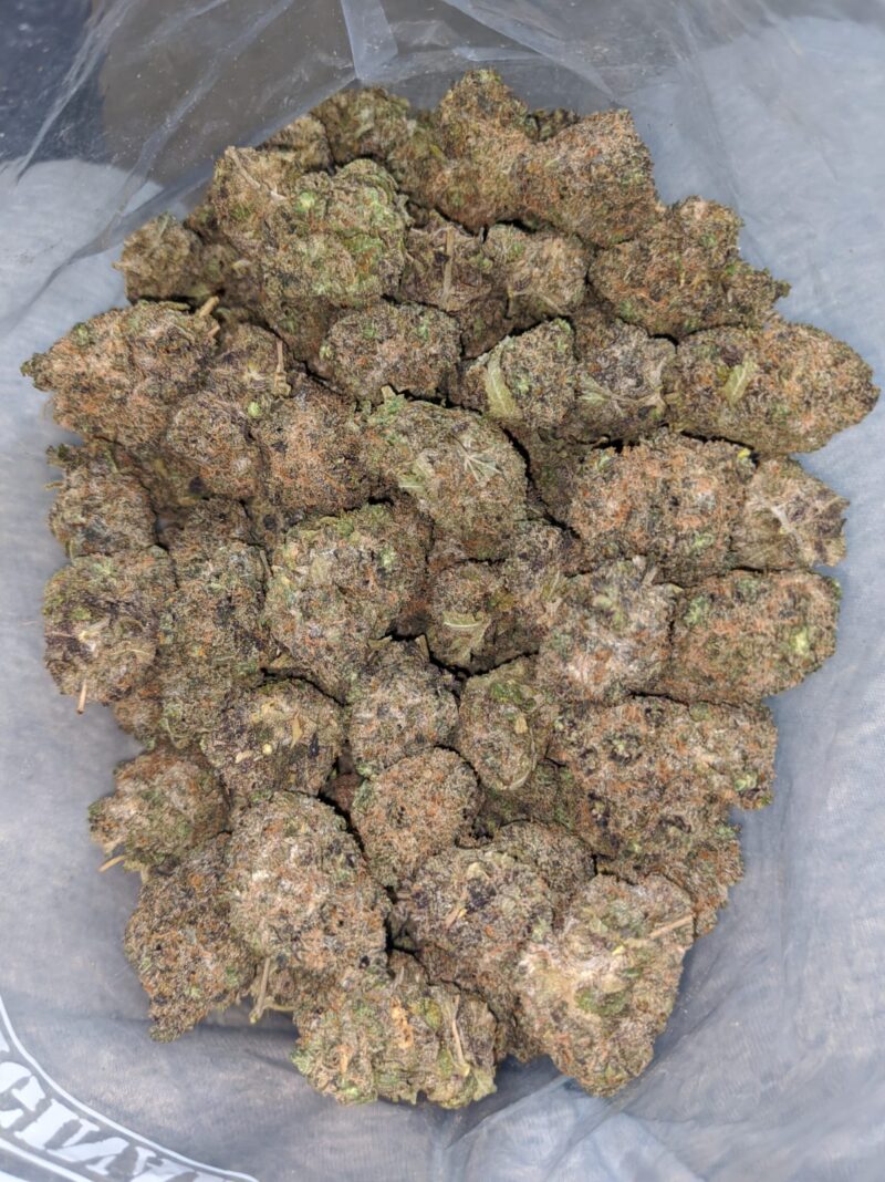 Purple Urkle - Image 6