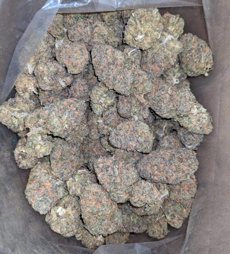 Purple Zkittles - Image 5