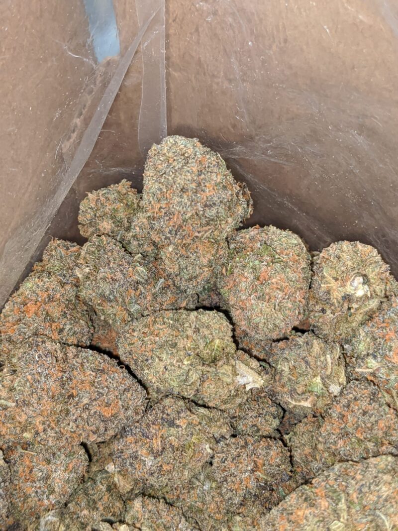 Purple Zkittles - Image 6