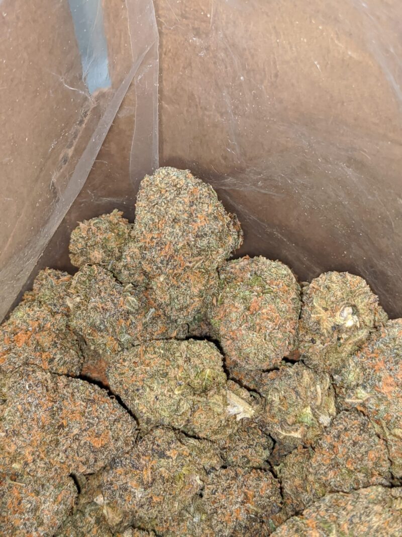 Purple Zkittles - Image 7