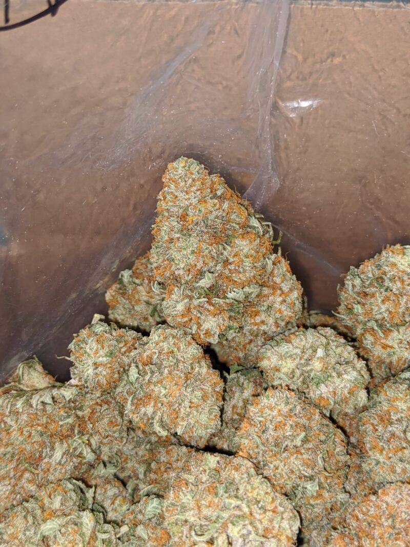 $ 53 Oz – Racefuel - Image 4