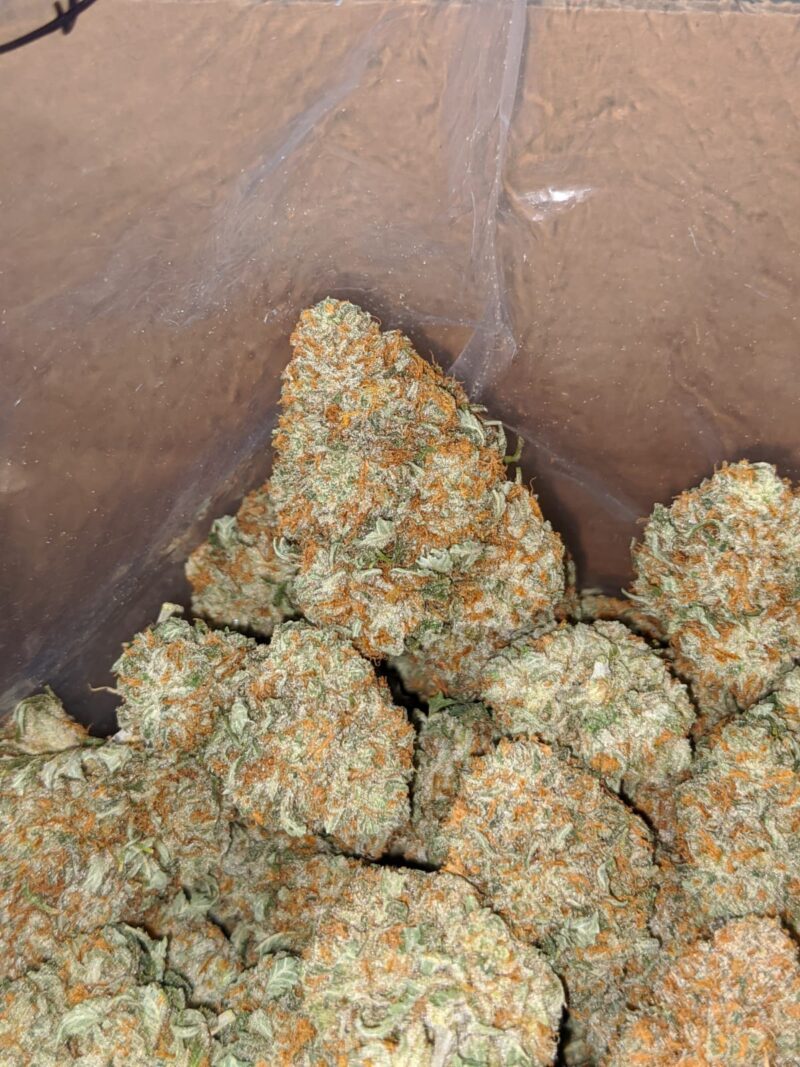 $ 53 Oz – Racefuel - Image 7