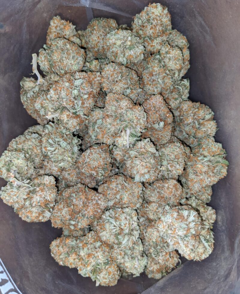 $ 53 Oz – Racefuel - Image 5
