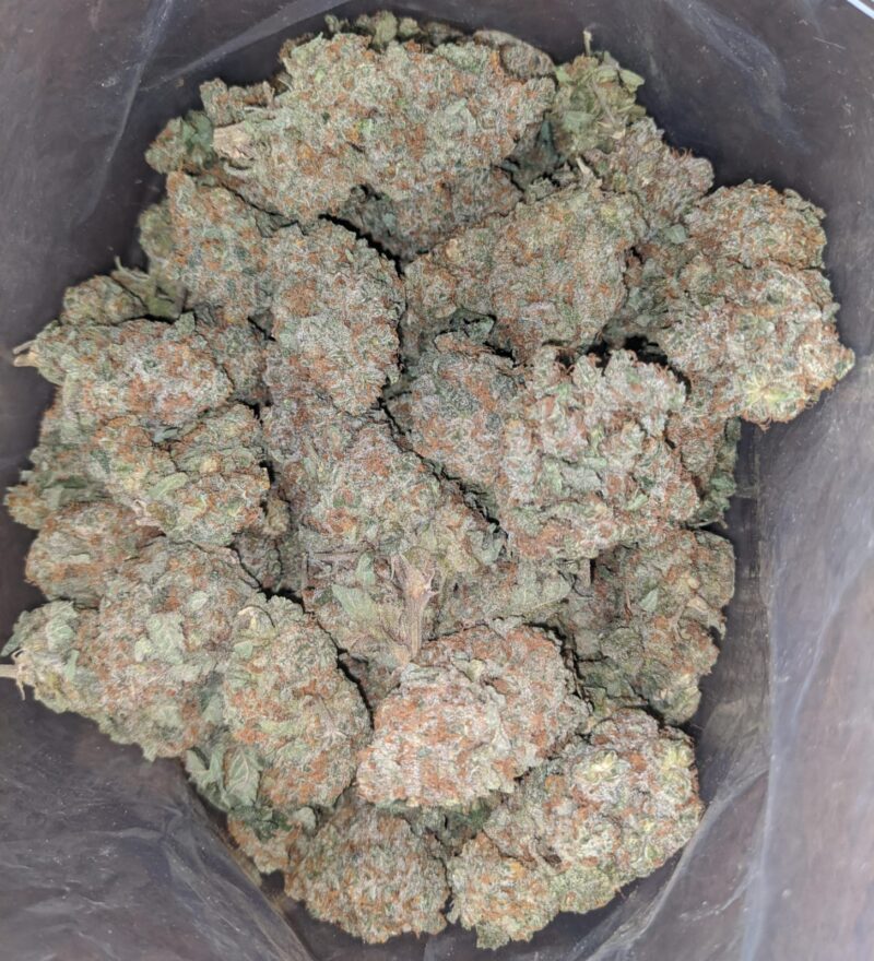 Raspberry Cough - Image 4