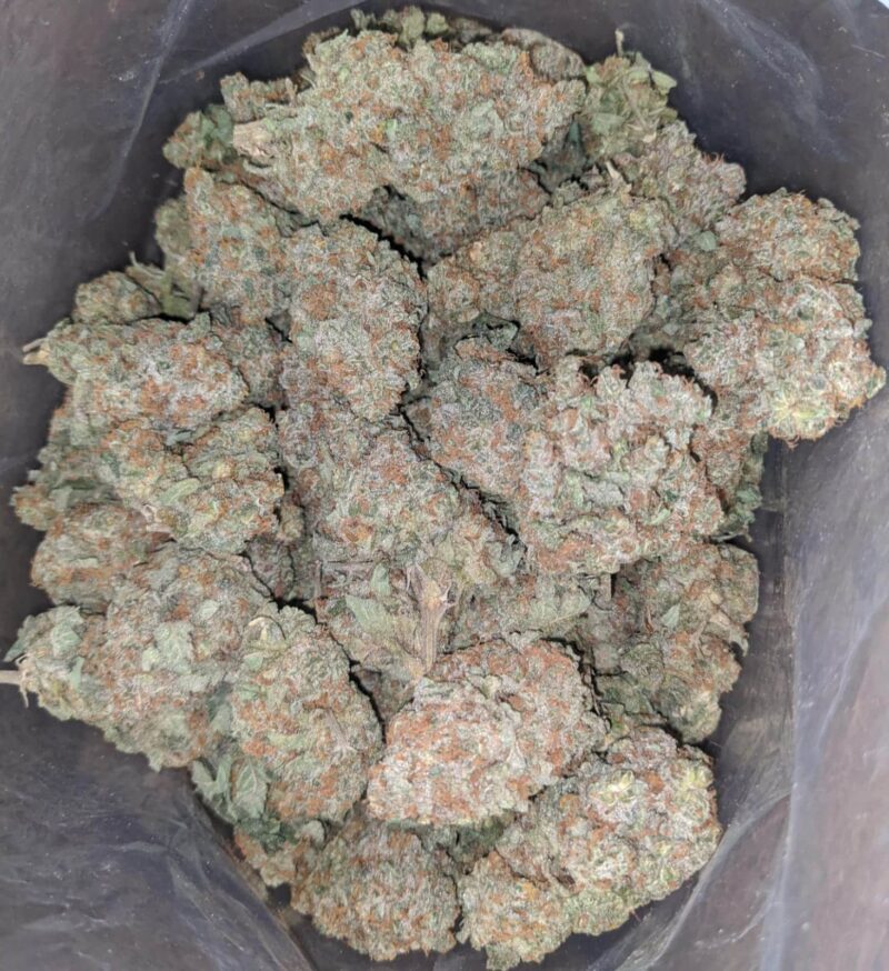 Raspberry Cough - Image 7