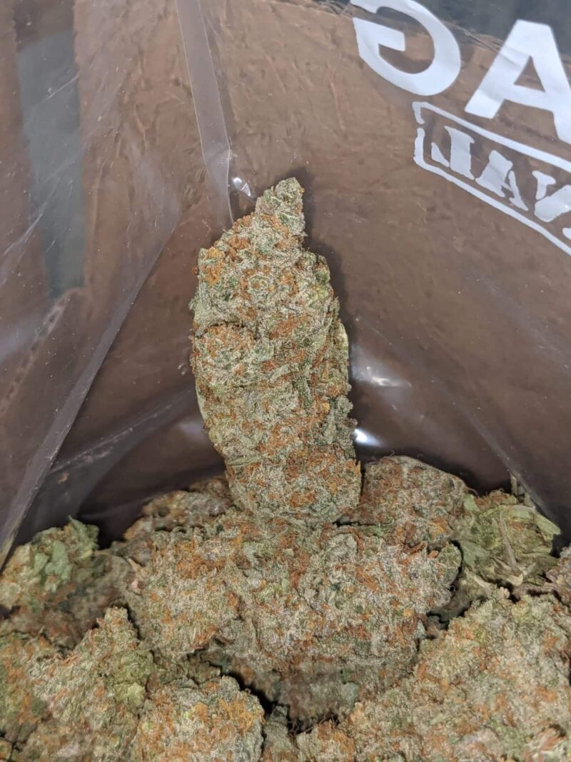 Raspberry Cough - Image 6