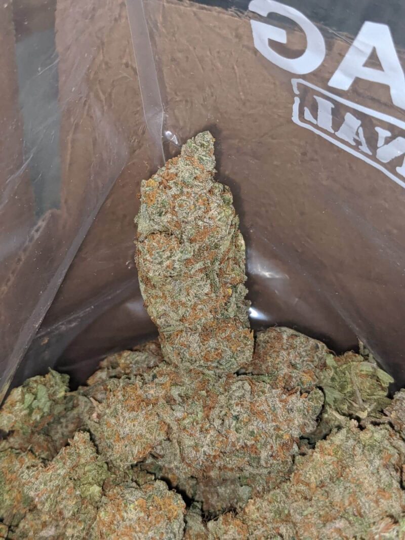 Raspberry Cough - Image 5