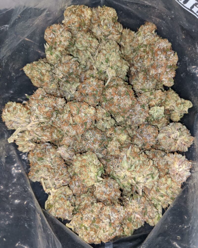 Master Rockstar Kush - Image 5