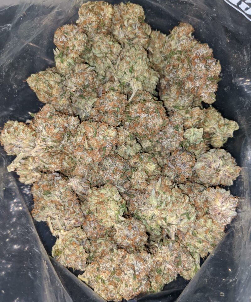 Master Rockstar Kush - Image 4