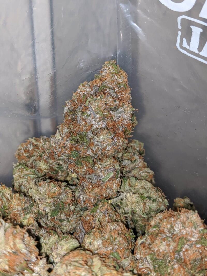 Master Rockstar Kush - Image 7