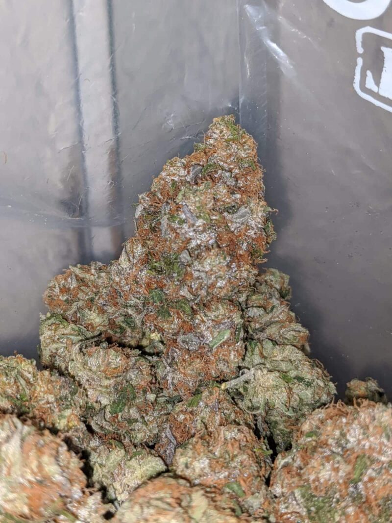 Master Rockstar Kush - Image 6