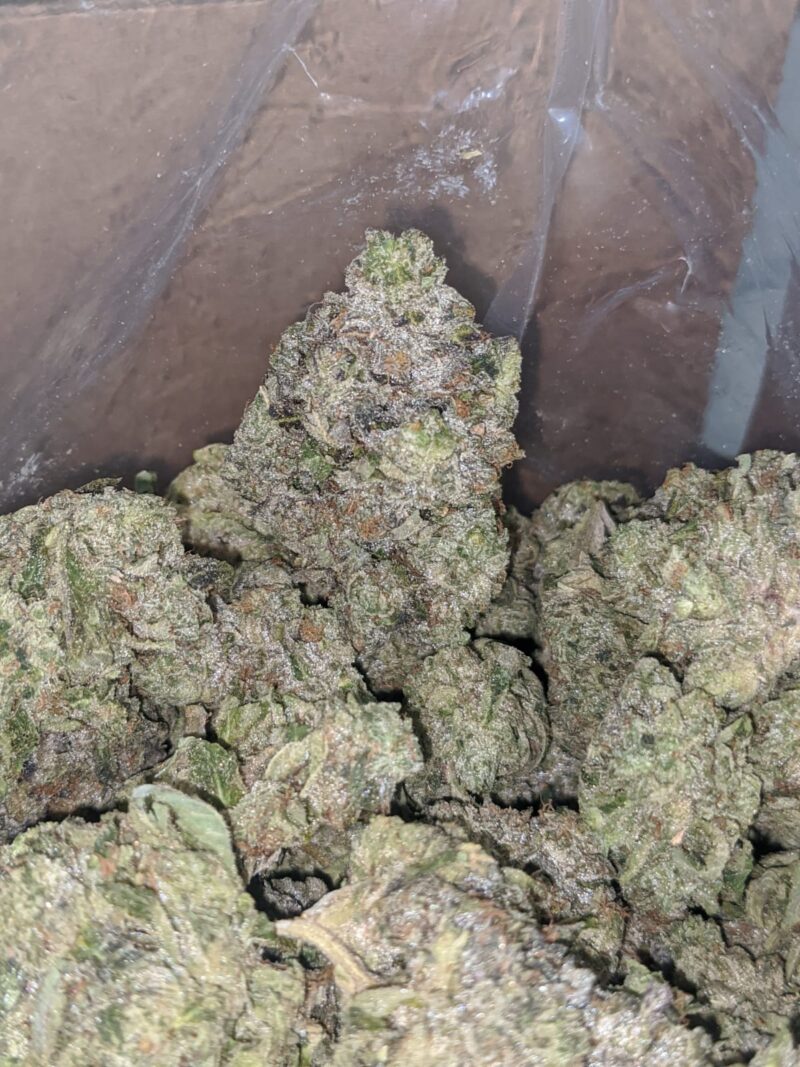 Rockstar Tuna AAA - Image 6