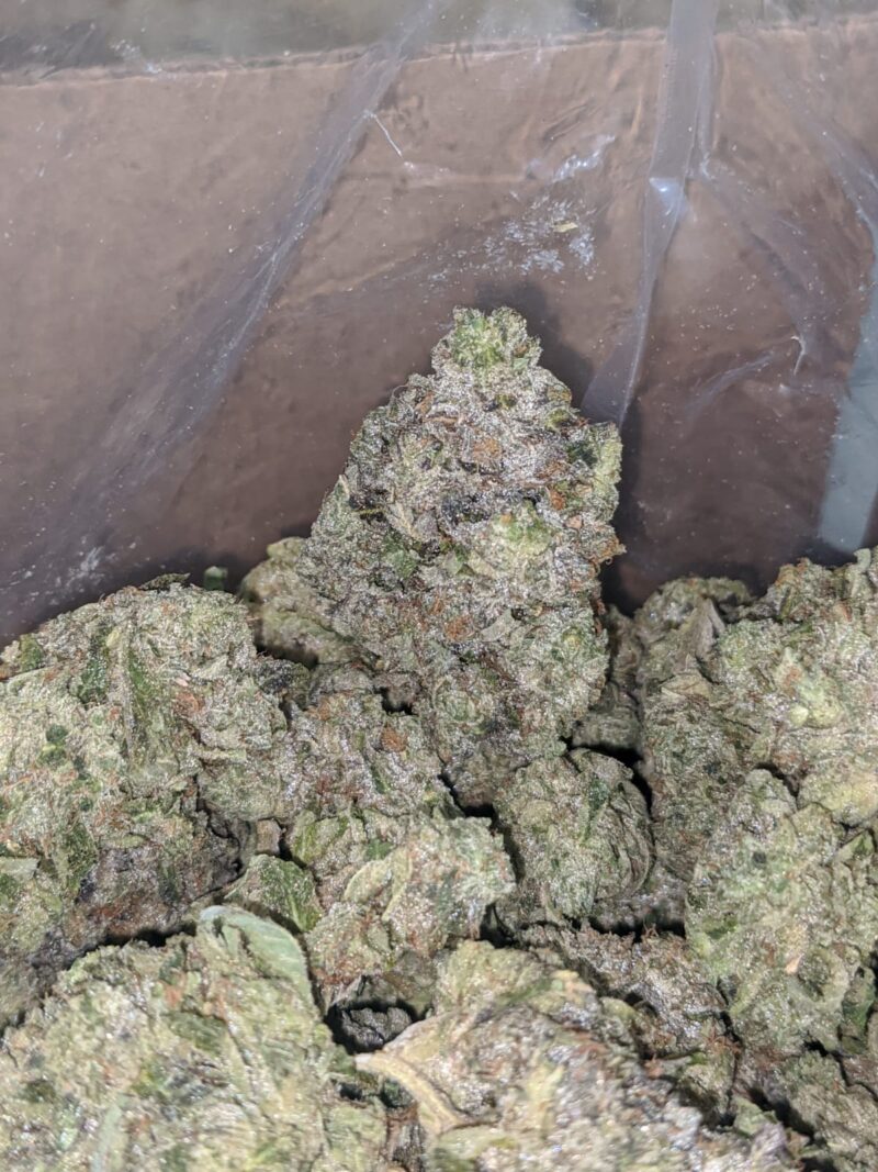 Rockstar Tuna AAA - Image 5