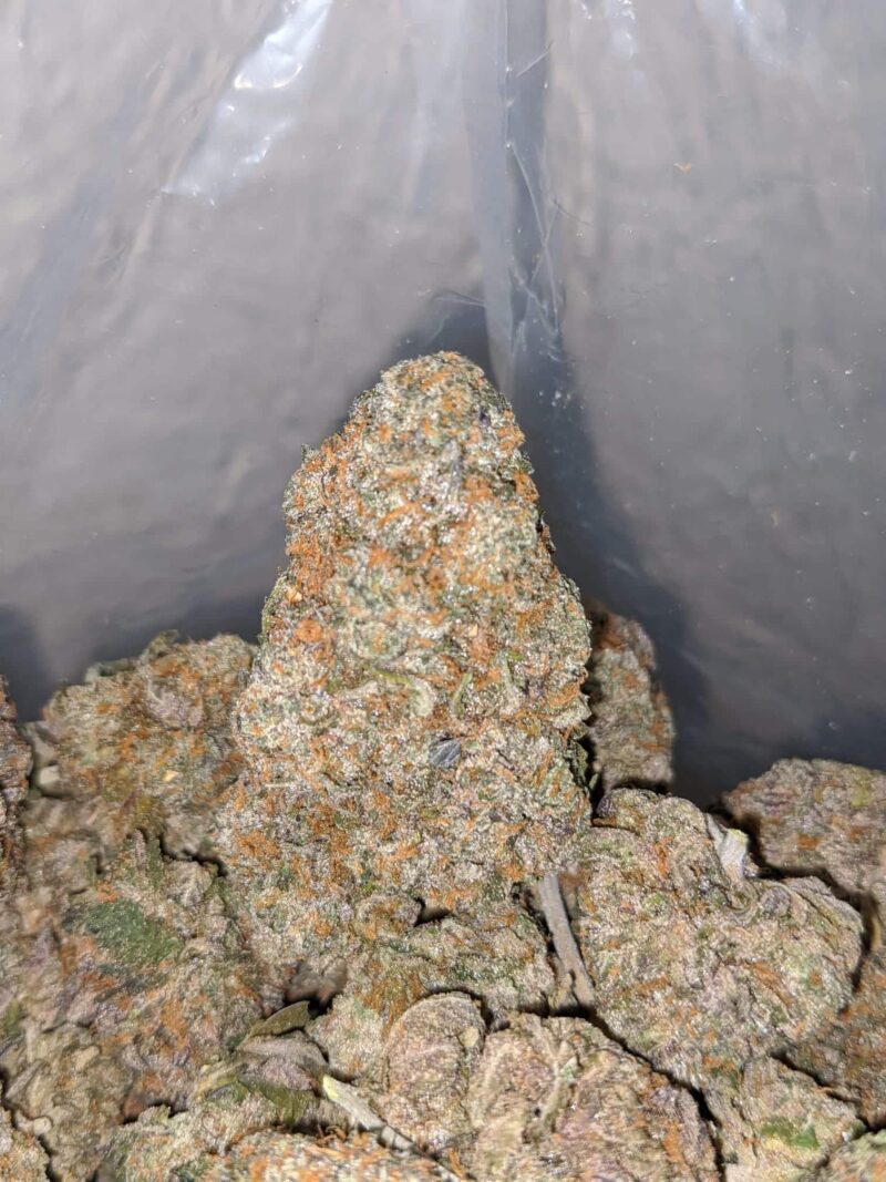 Runtz X Purple Punch - Image 7