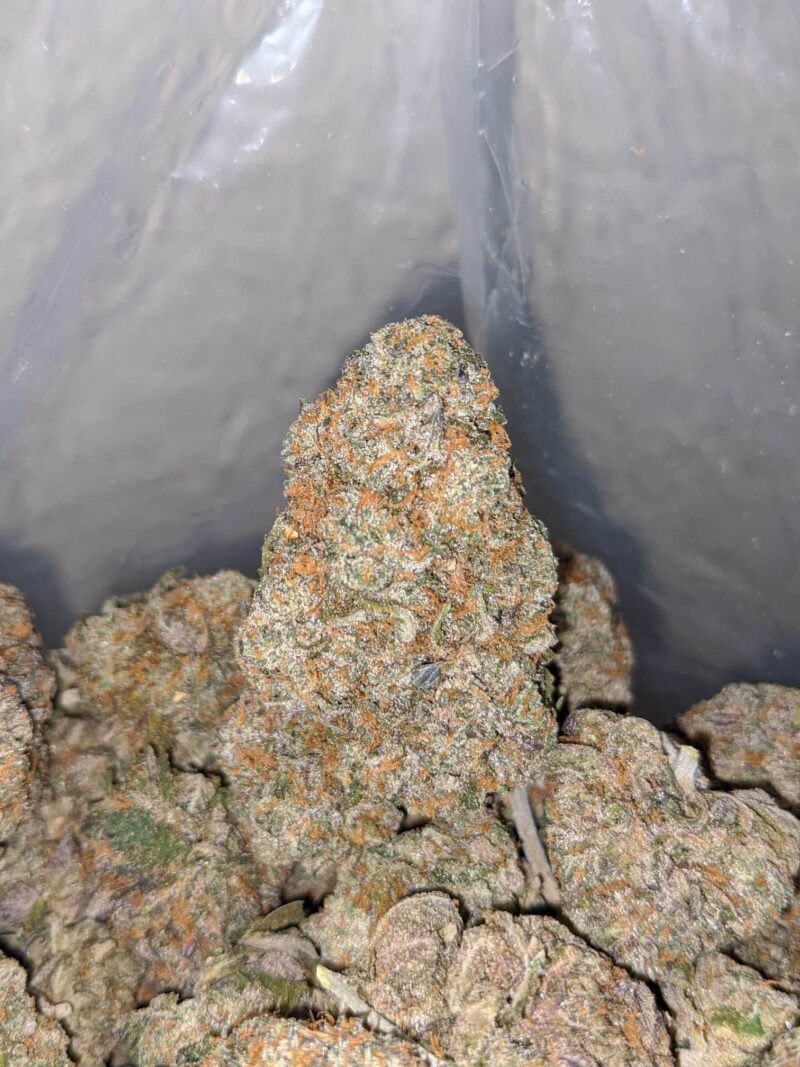Runtz X Purple Punch - Image 6