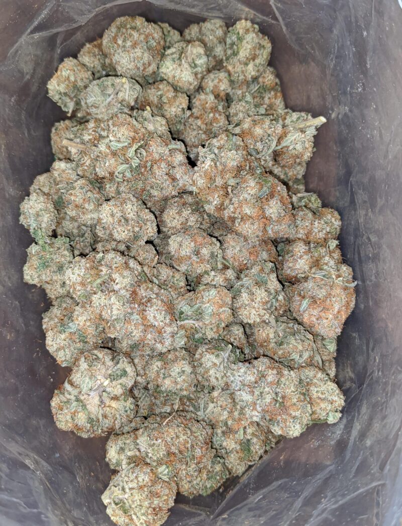 Sage N’ Sour - Image 5