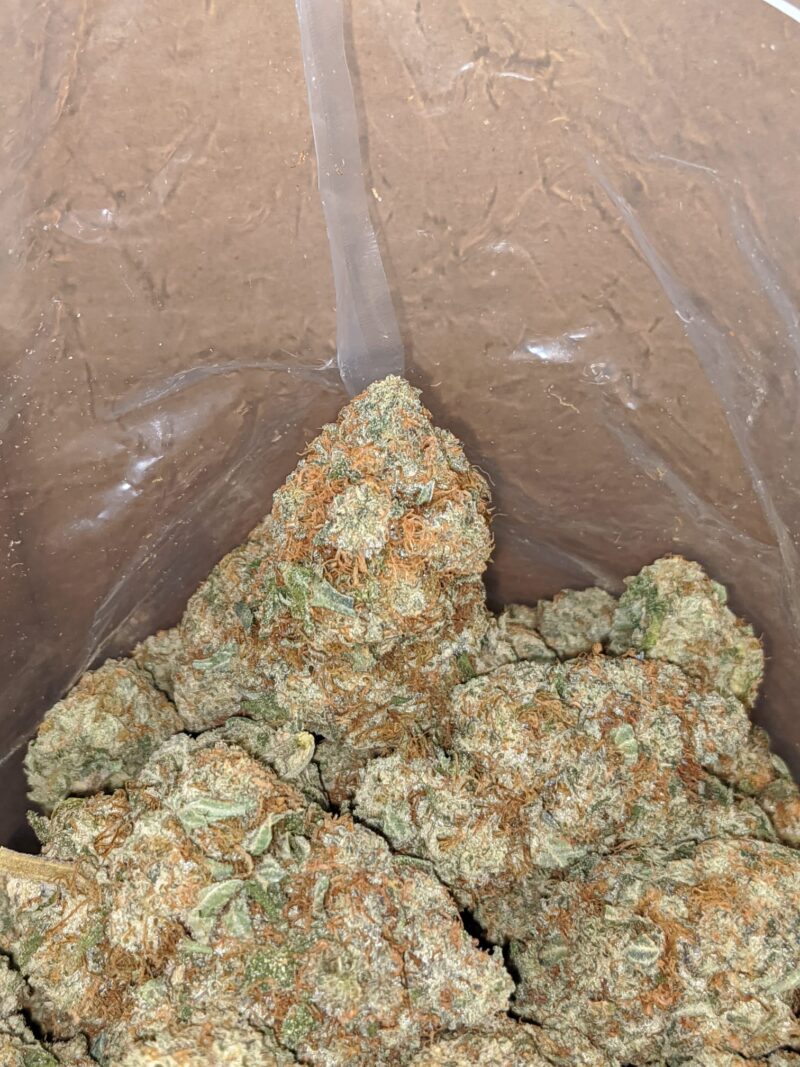 Sage N’ Sour - Image 4