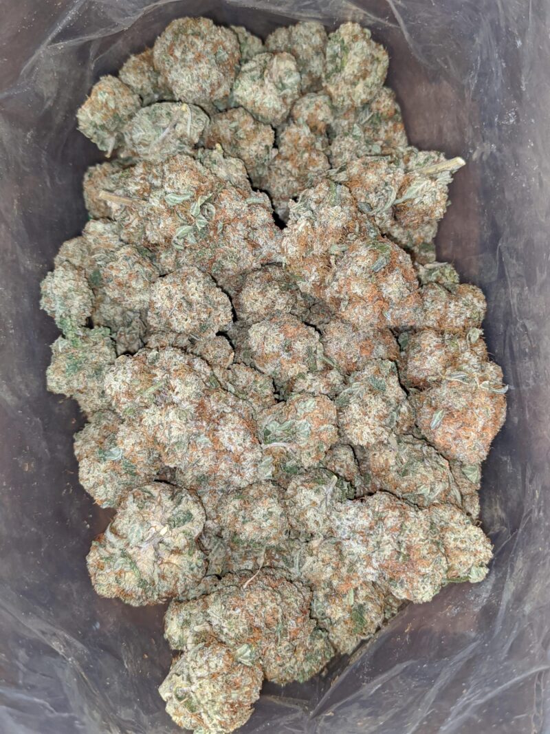 Sage N’ Sour - Image 6