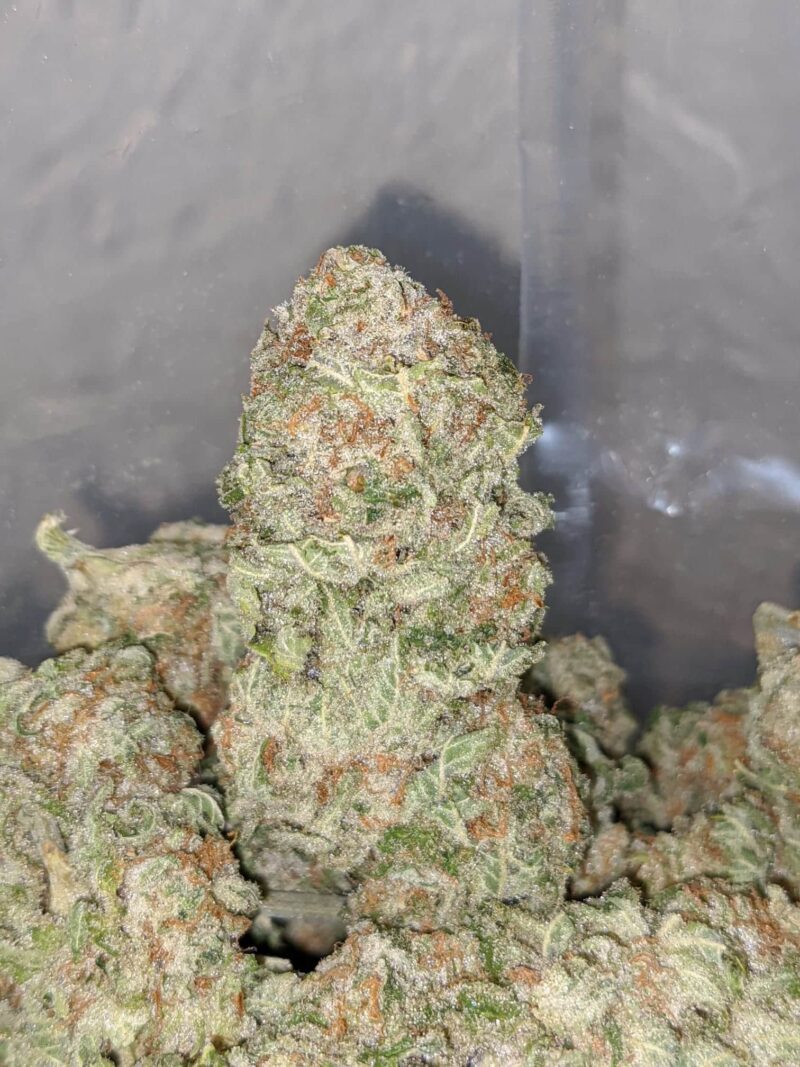 Scout Master Cookies - Image 6