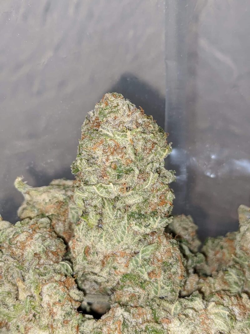 Scout Master Cookies - Image 5