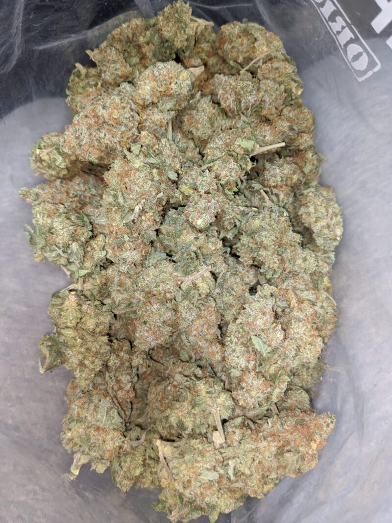 Seattle Cough - Image 4