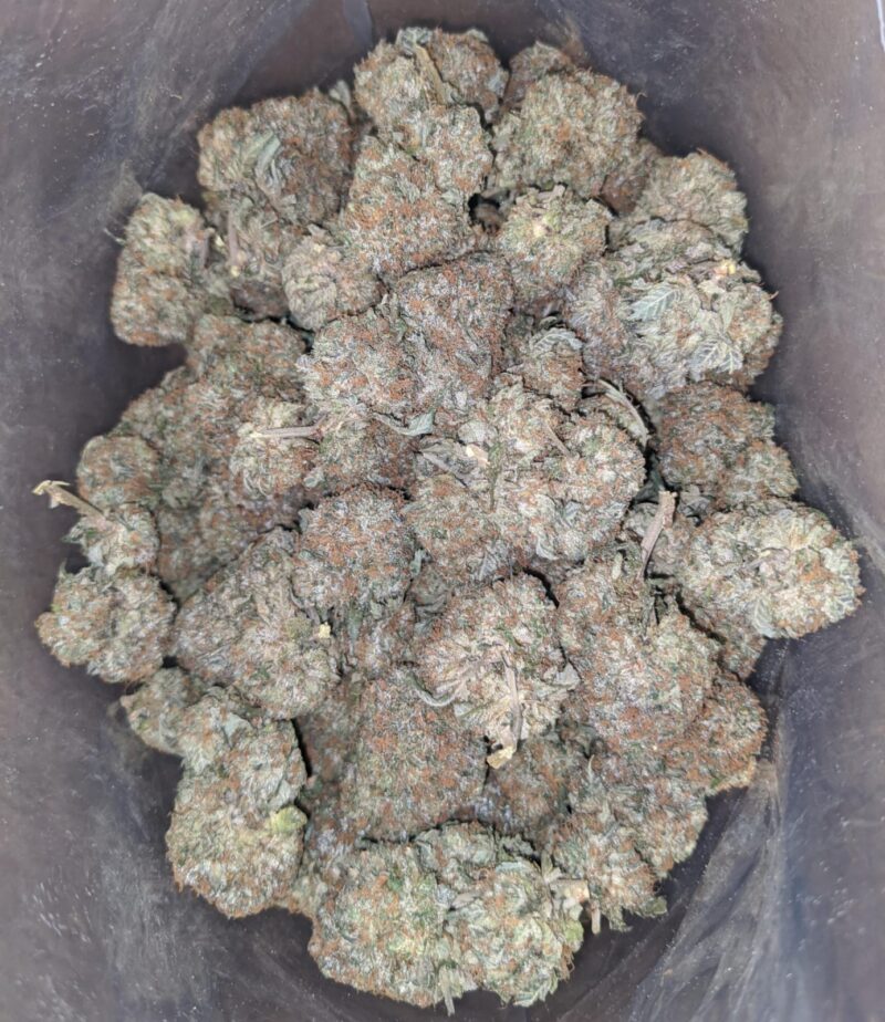 SFV OG - Image 7
