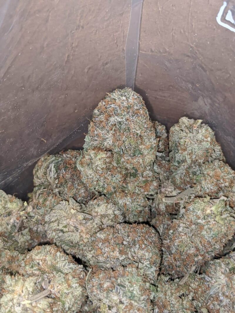 SFV OG - Image 5