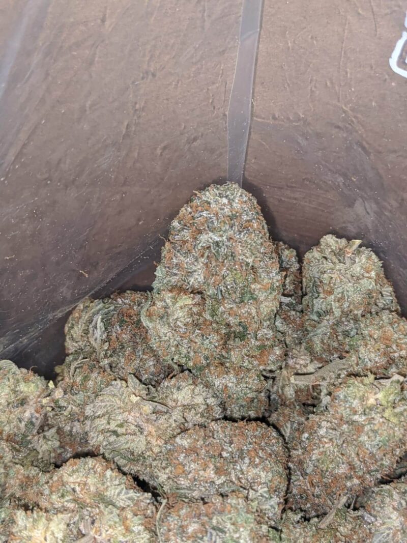 SFV OG - Image 4