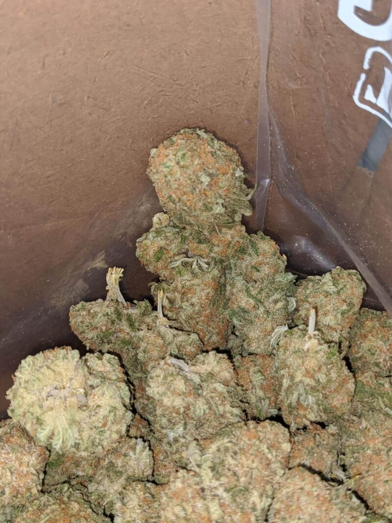 Sherbert #2 - Image 5