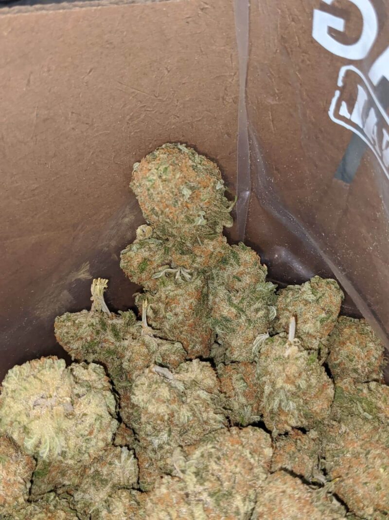 Sherbert #2 - Image 4