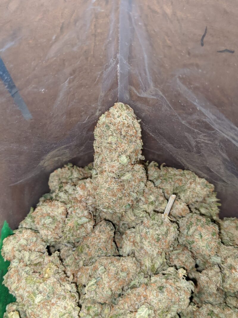 Shishkaberry - Image 6