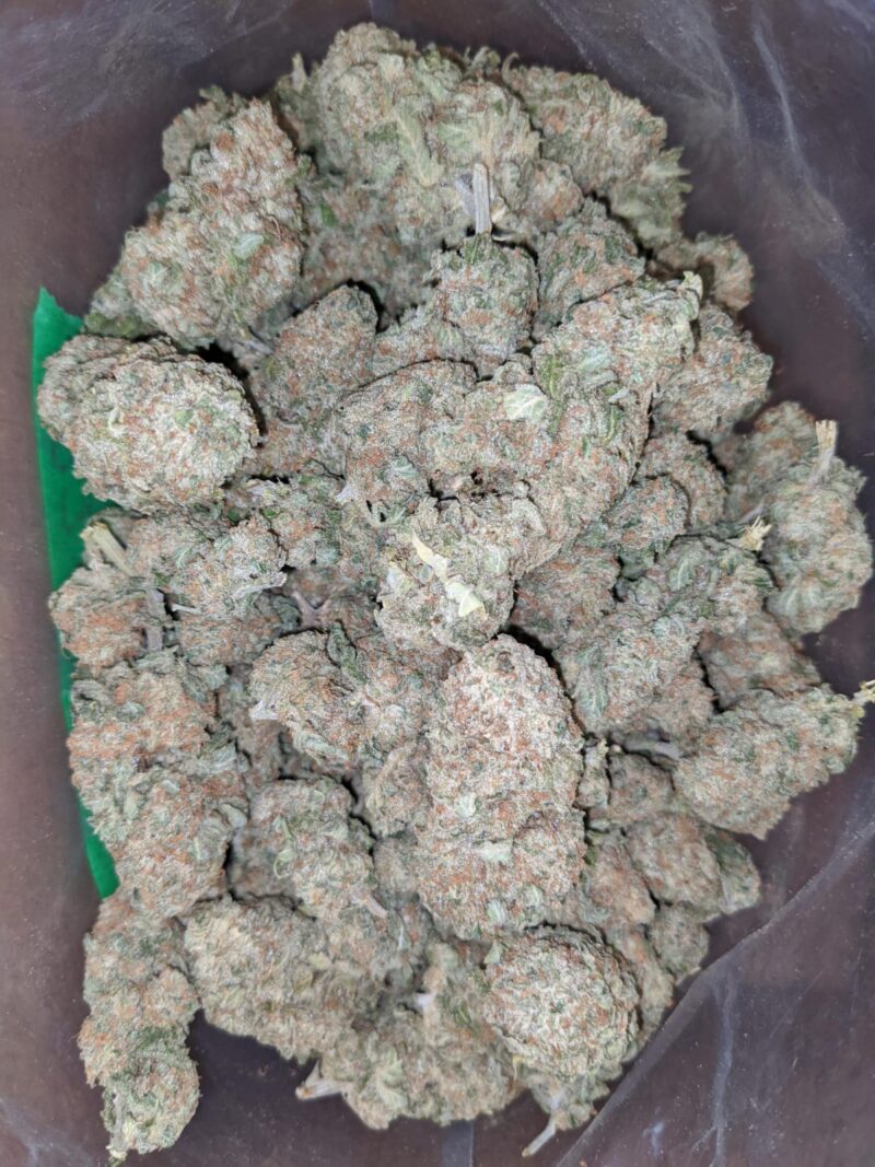 Shishkaberry - Image 4
