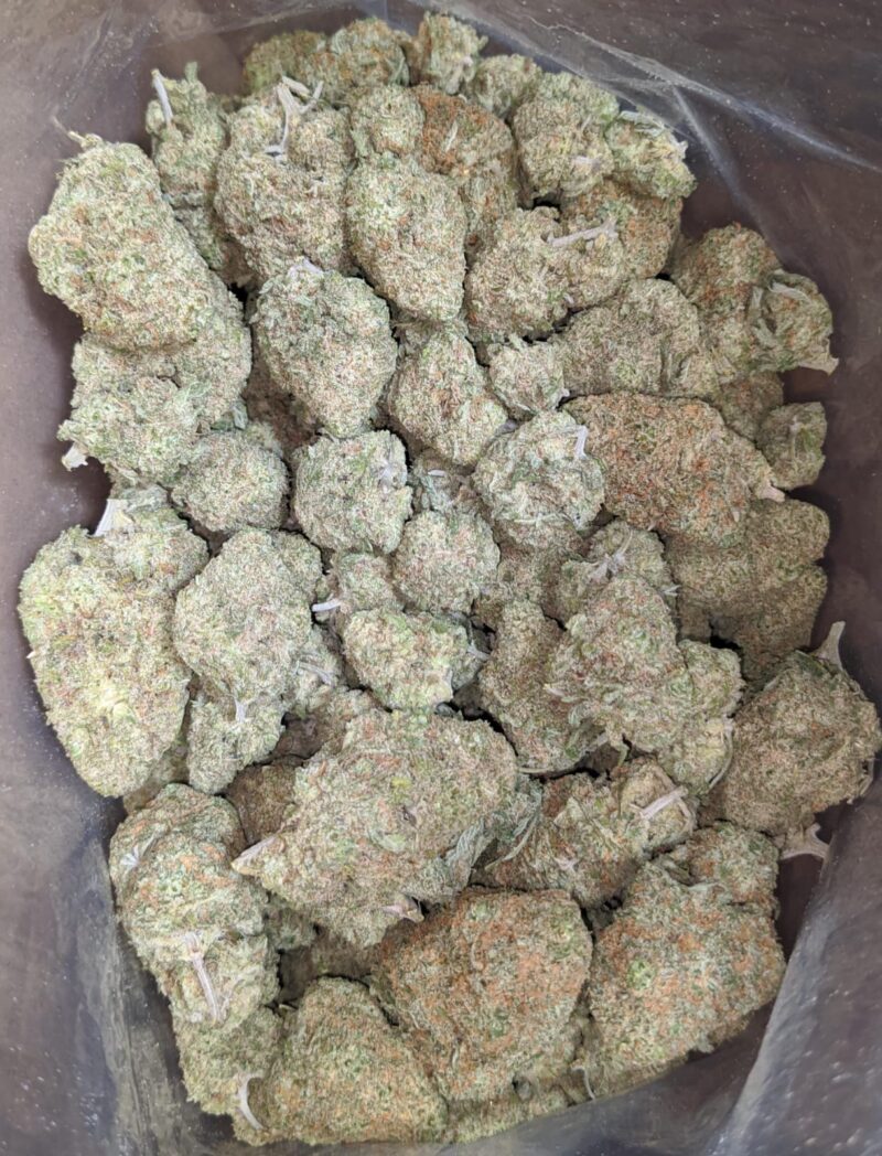 Silver Skunk - Image 5
