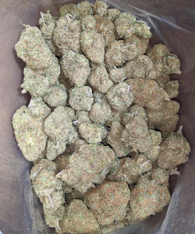 Silver Skunk - Image 4