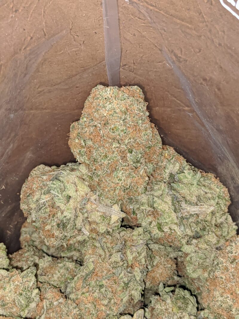Sister Glue - Image 7