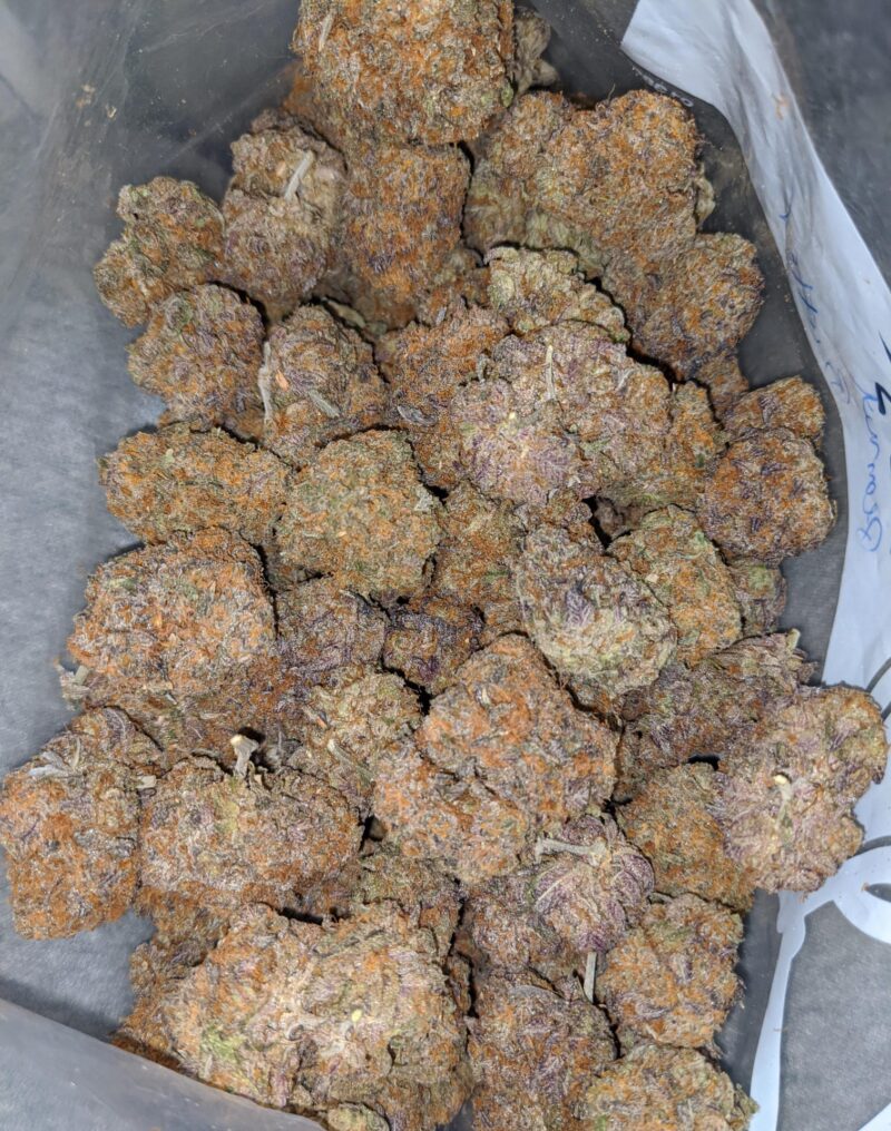 Sophie’s Breath - Image 5