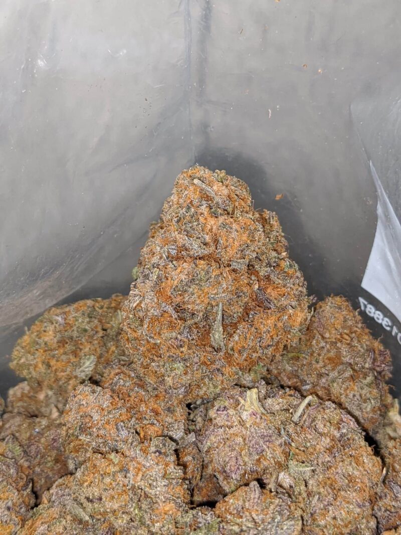 Sophie’s Breath - Image 6