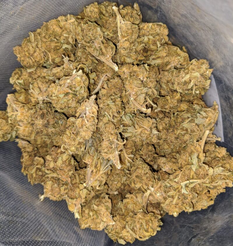Sour Bubba Bulk Special