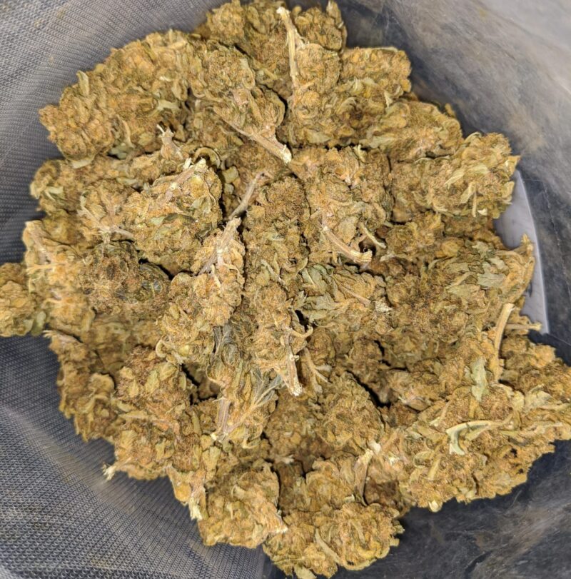 Sour Bubba Bulk Special - Image 2
