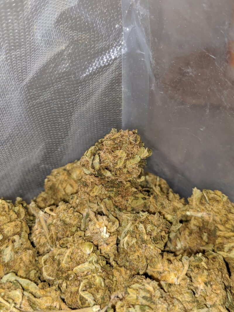 Sour Bubba Bulk Special - Image 5